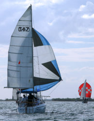 rl 28 sailboat for sale